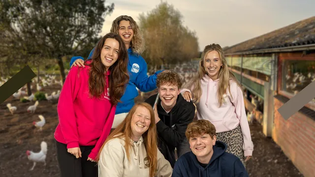 Uitgelichte afbeelding