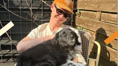 Gaat mijn hond naar de hemel als ze overlijdt? 🐾