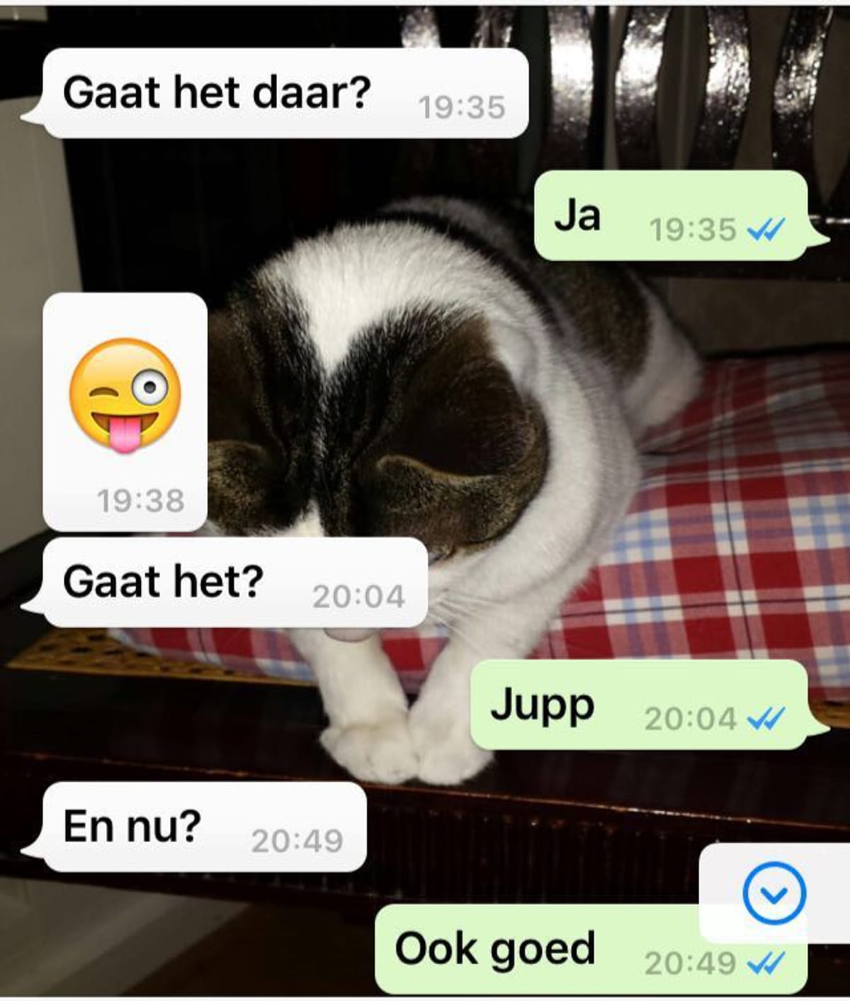 afbeelding