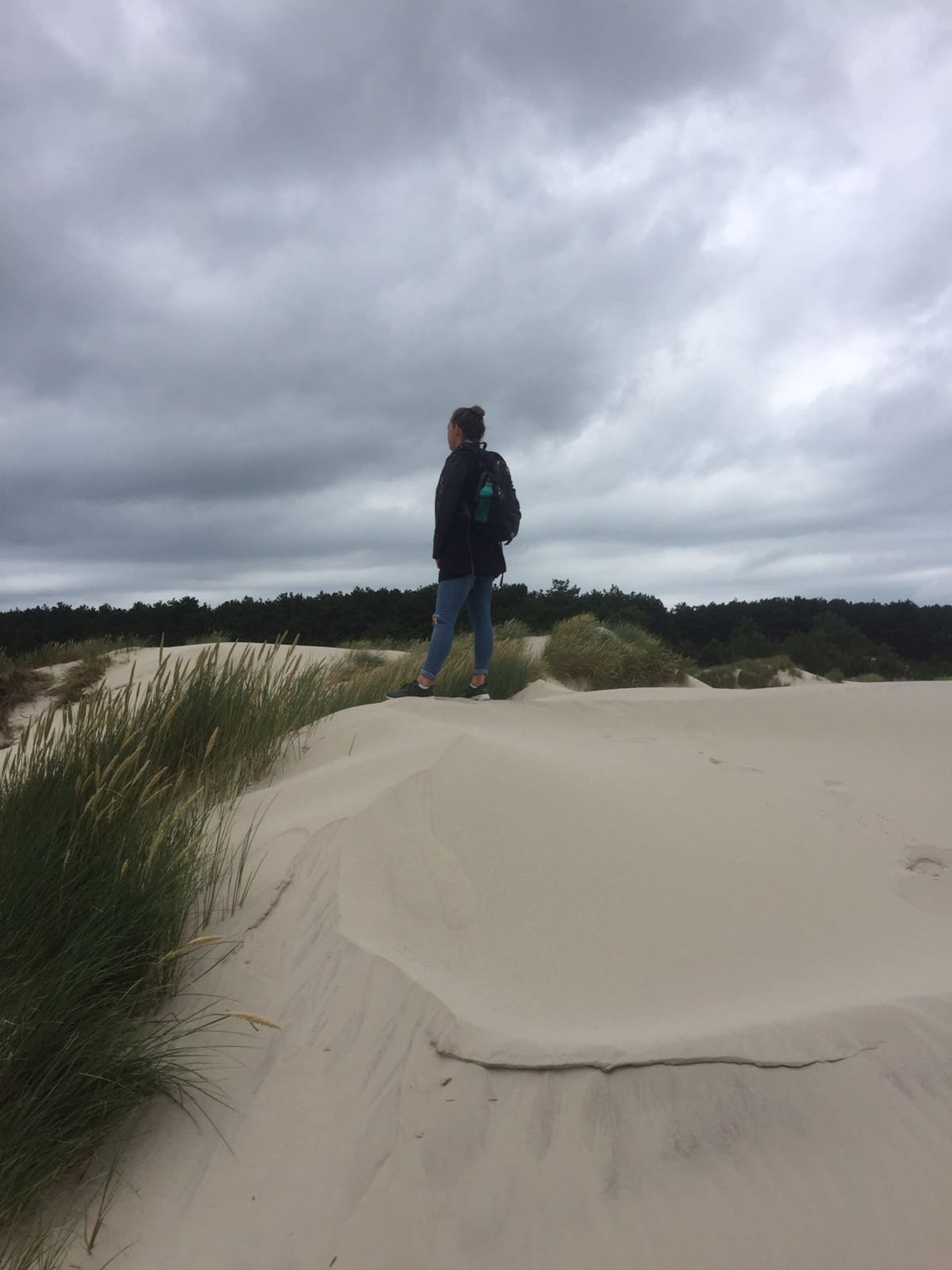 Sanne