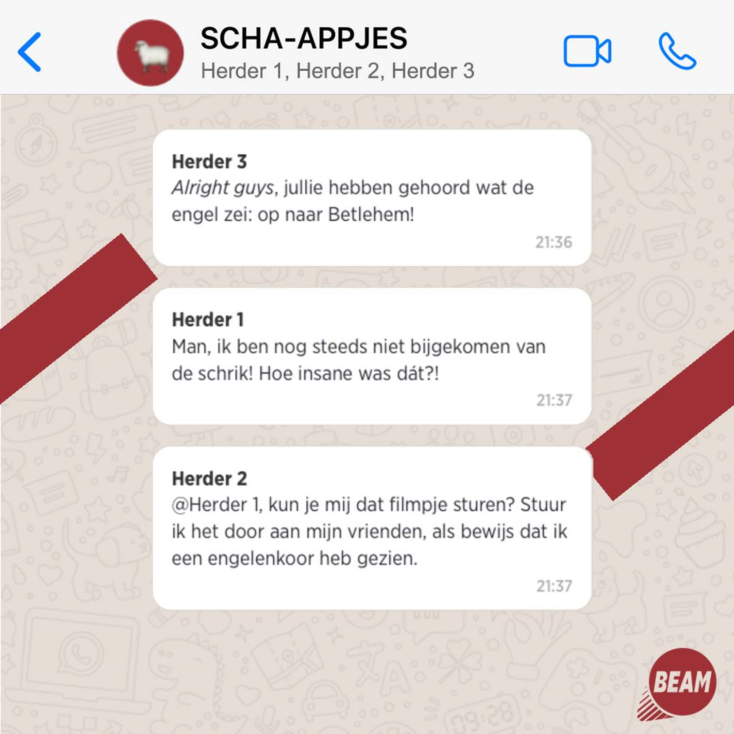 BEAM-Instagram-schaapjes1