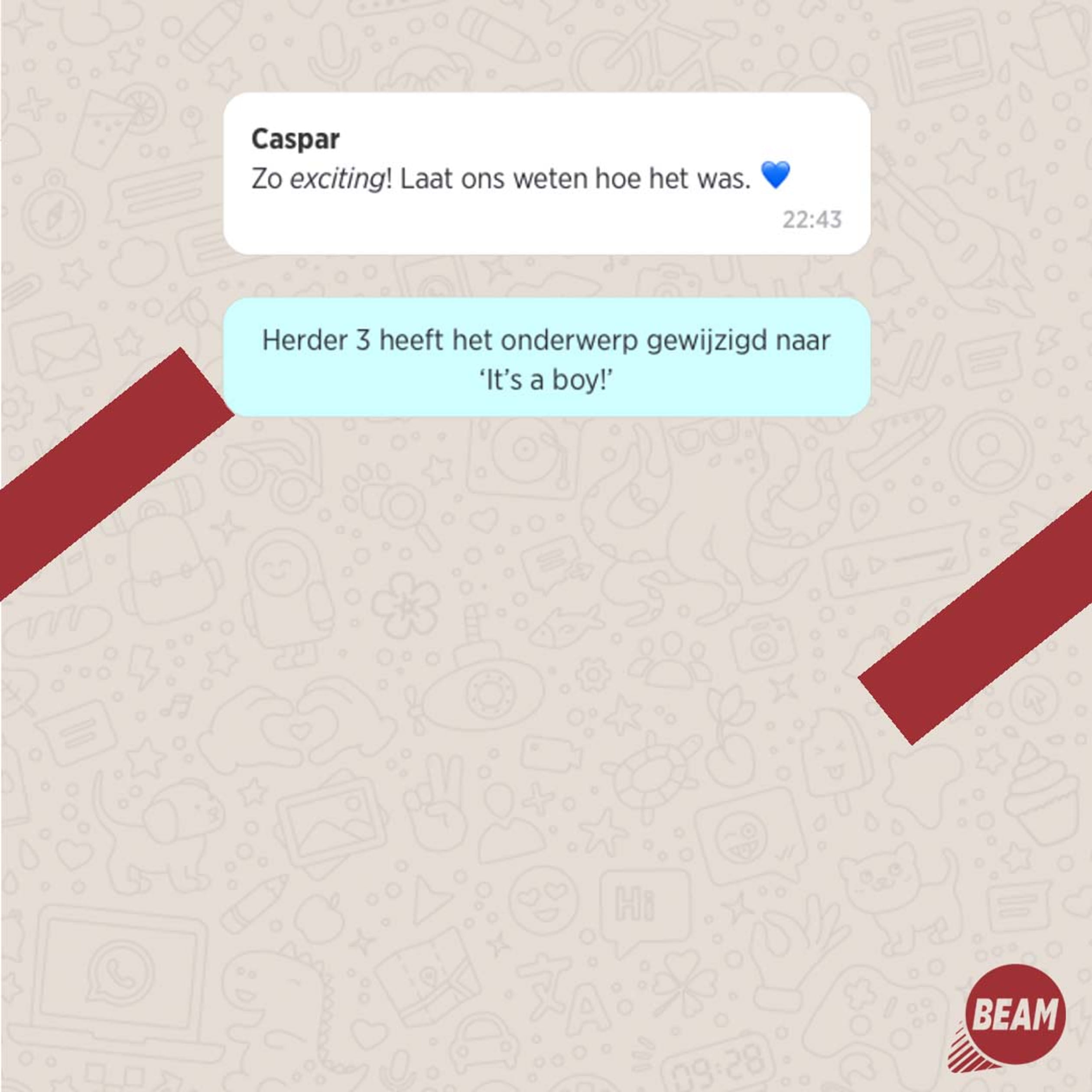 BEAM-Instagram-schaapjes9