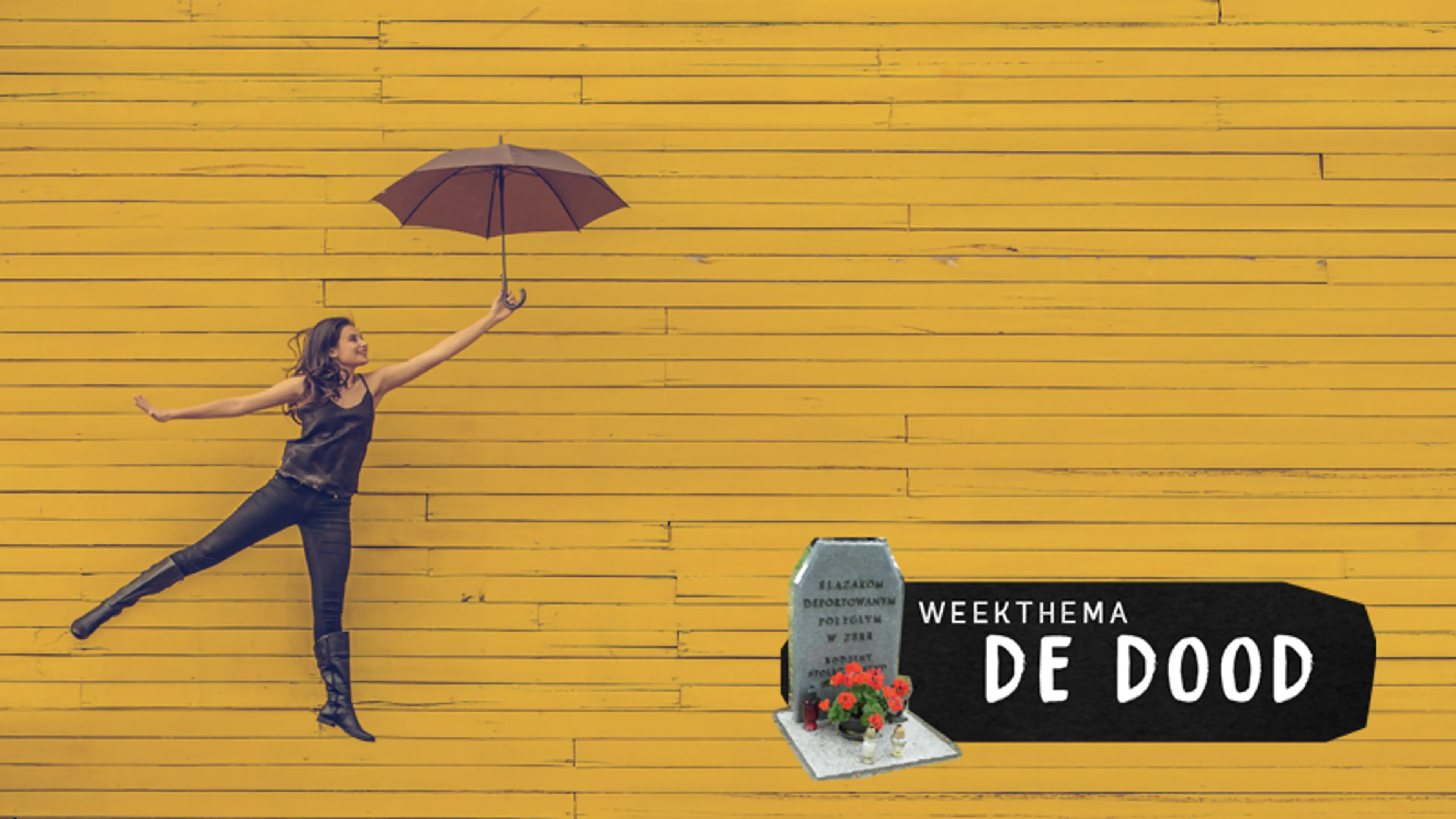 Uitgelichte afbeelding