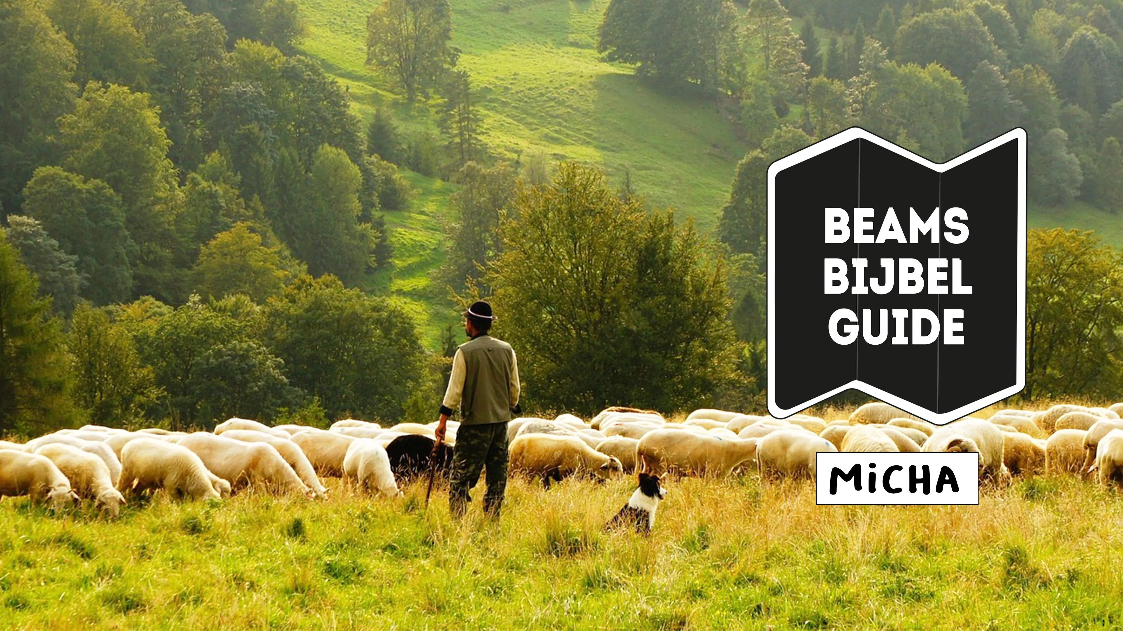 Uitgelichte afbeelding