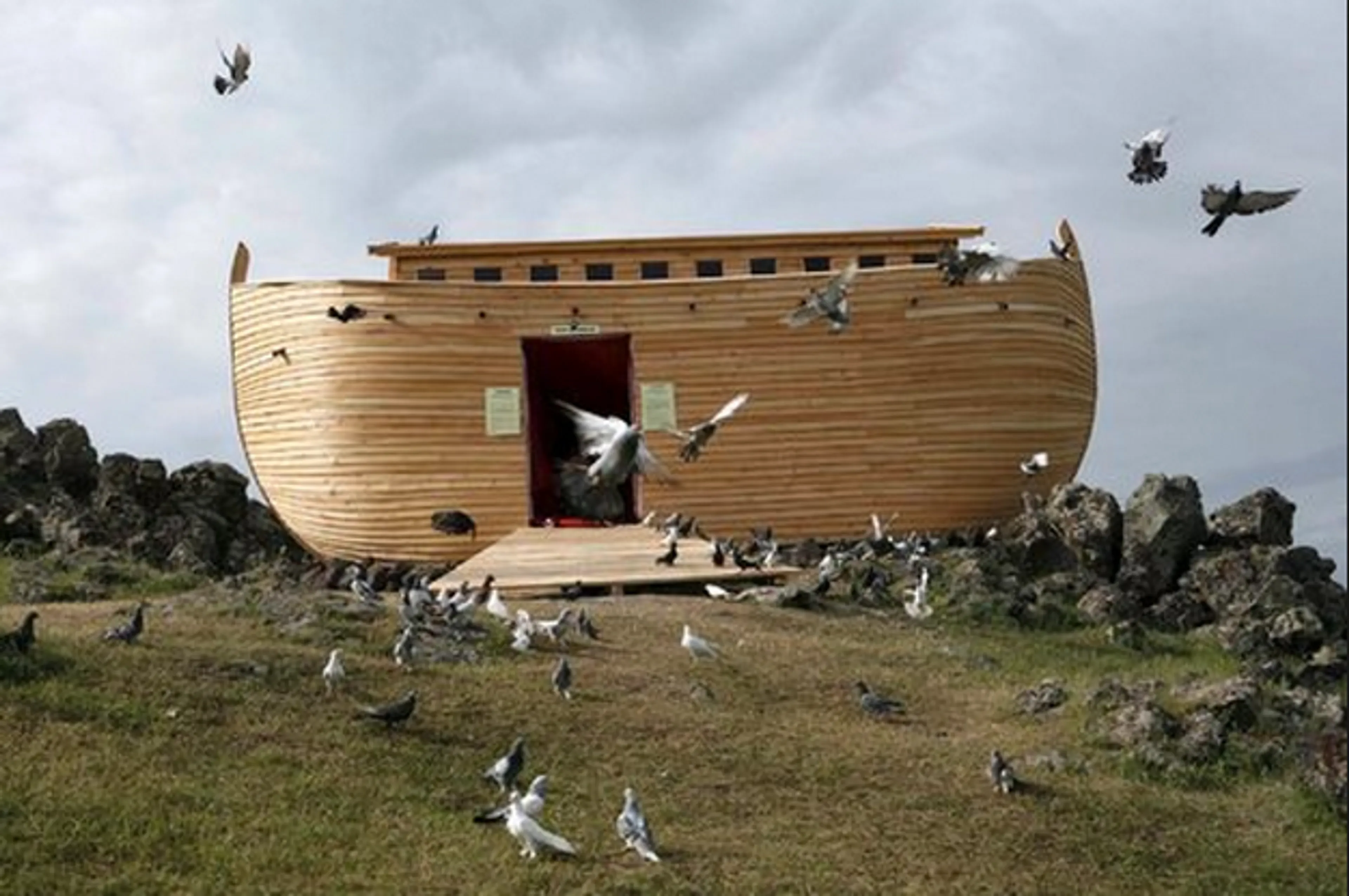 Uitgelichte afbeelding