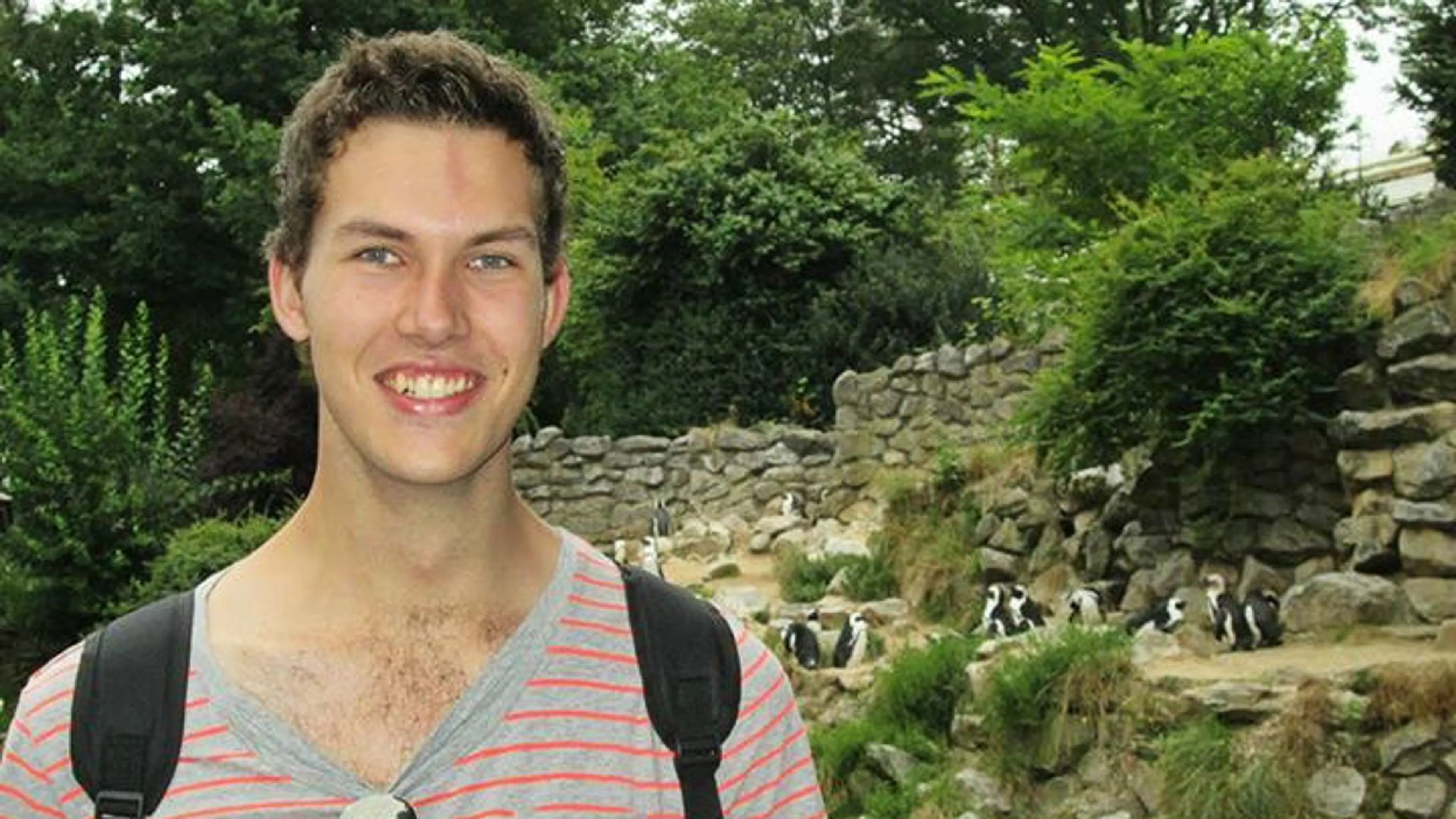 Uitgelichte afbeelding