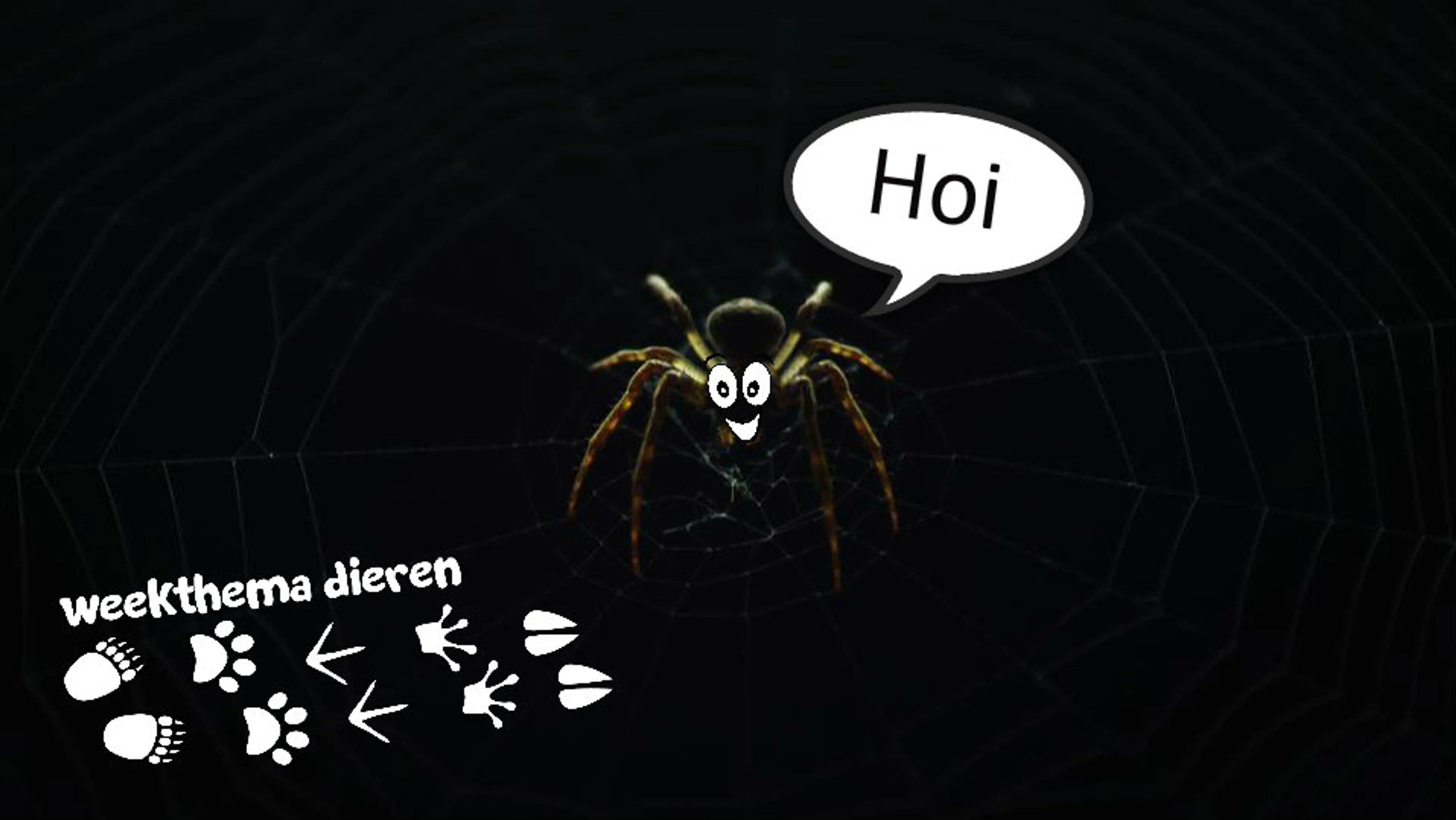 Uitgelichte afbeelding