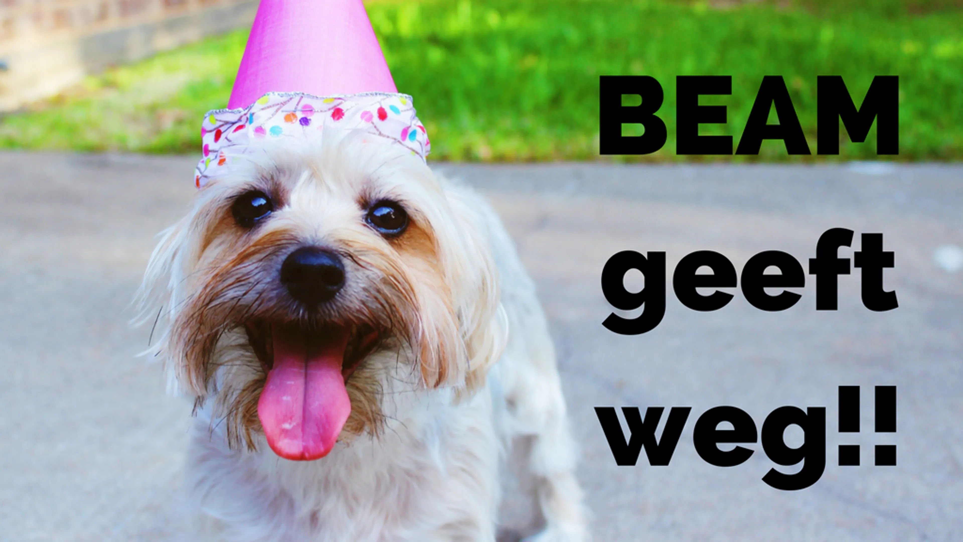 Uitgelichte afbeelding