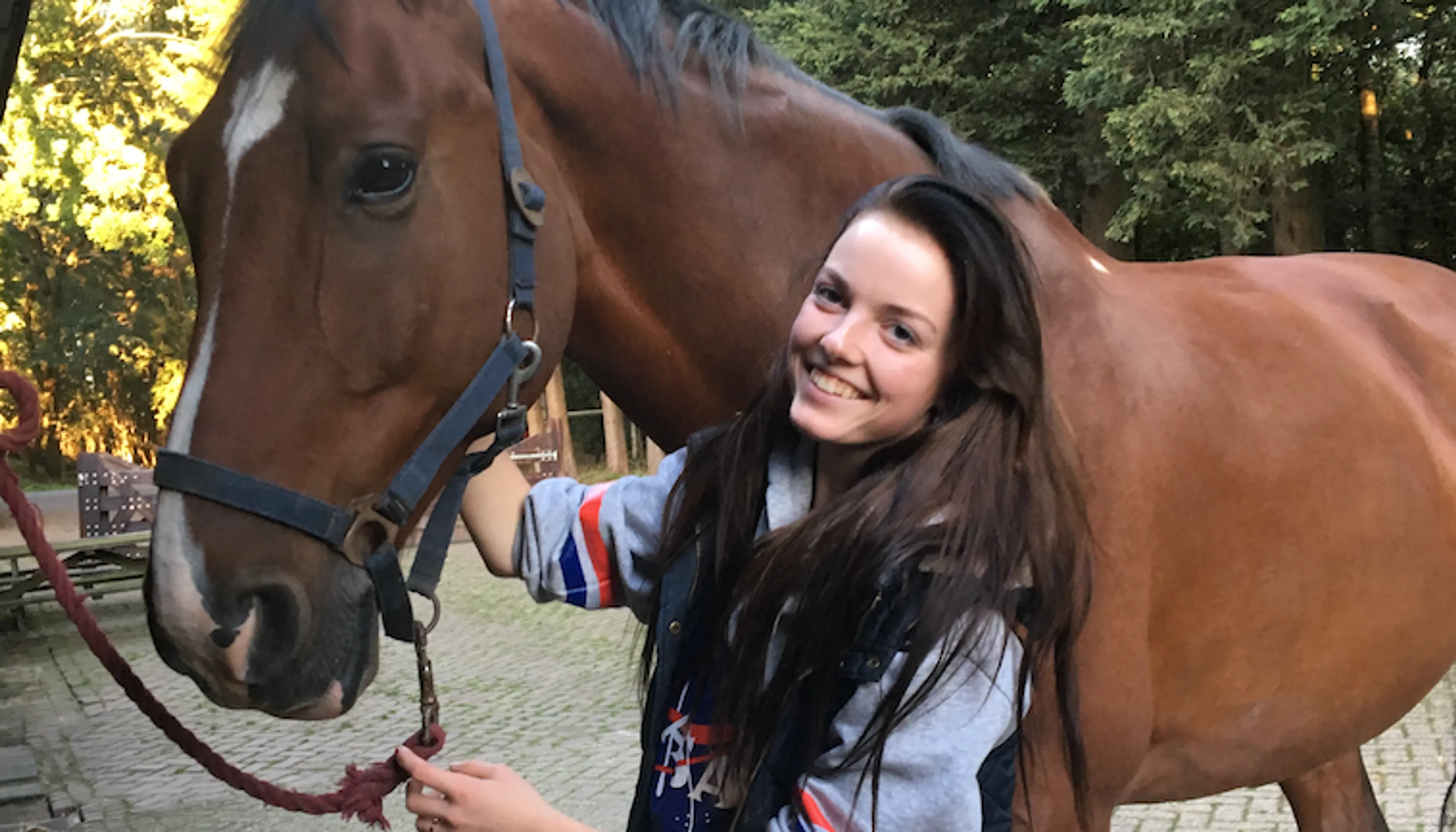 Uitgelichte afbeelding