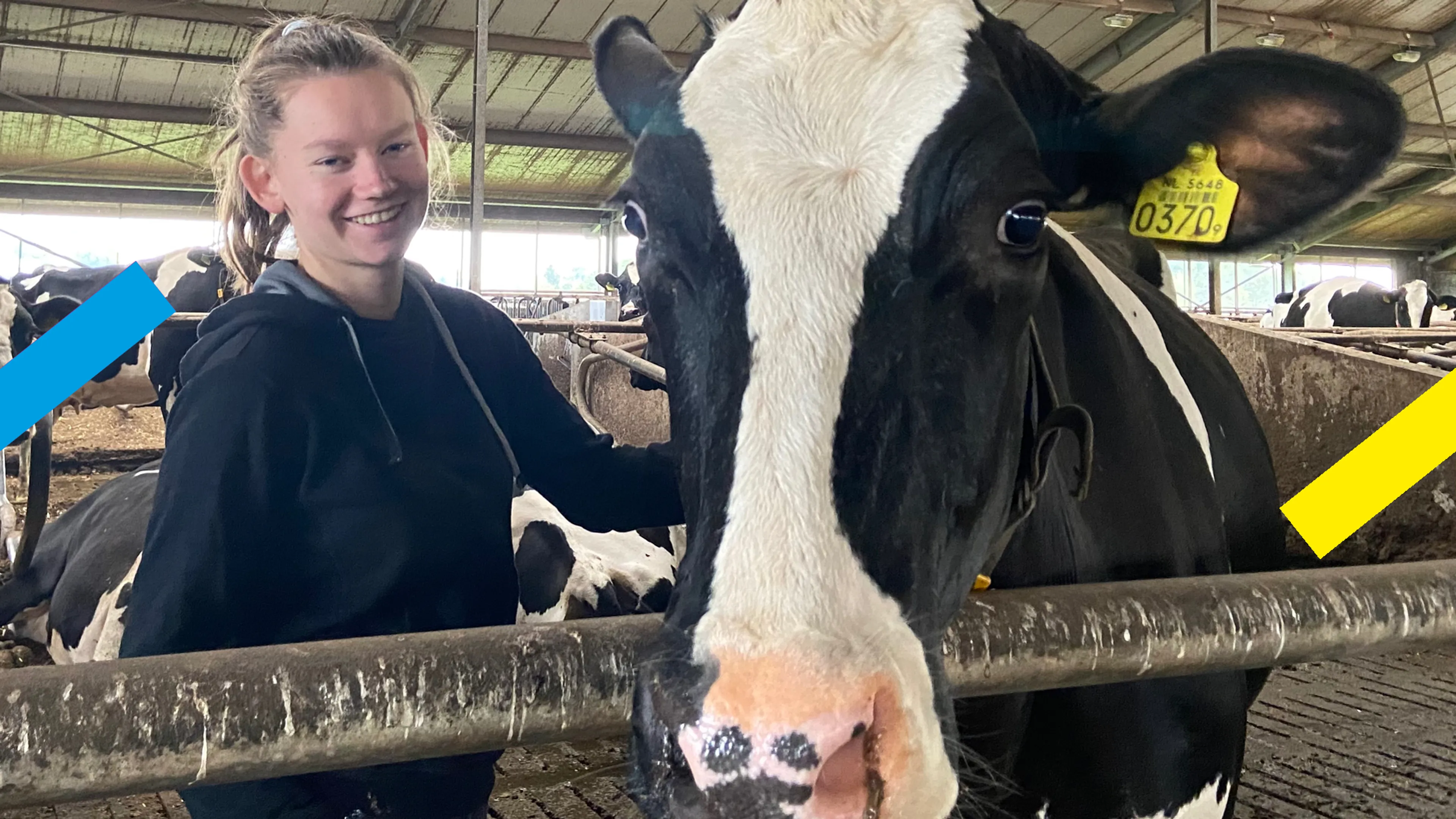 Uitgelichte afbeelding