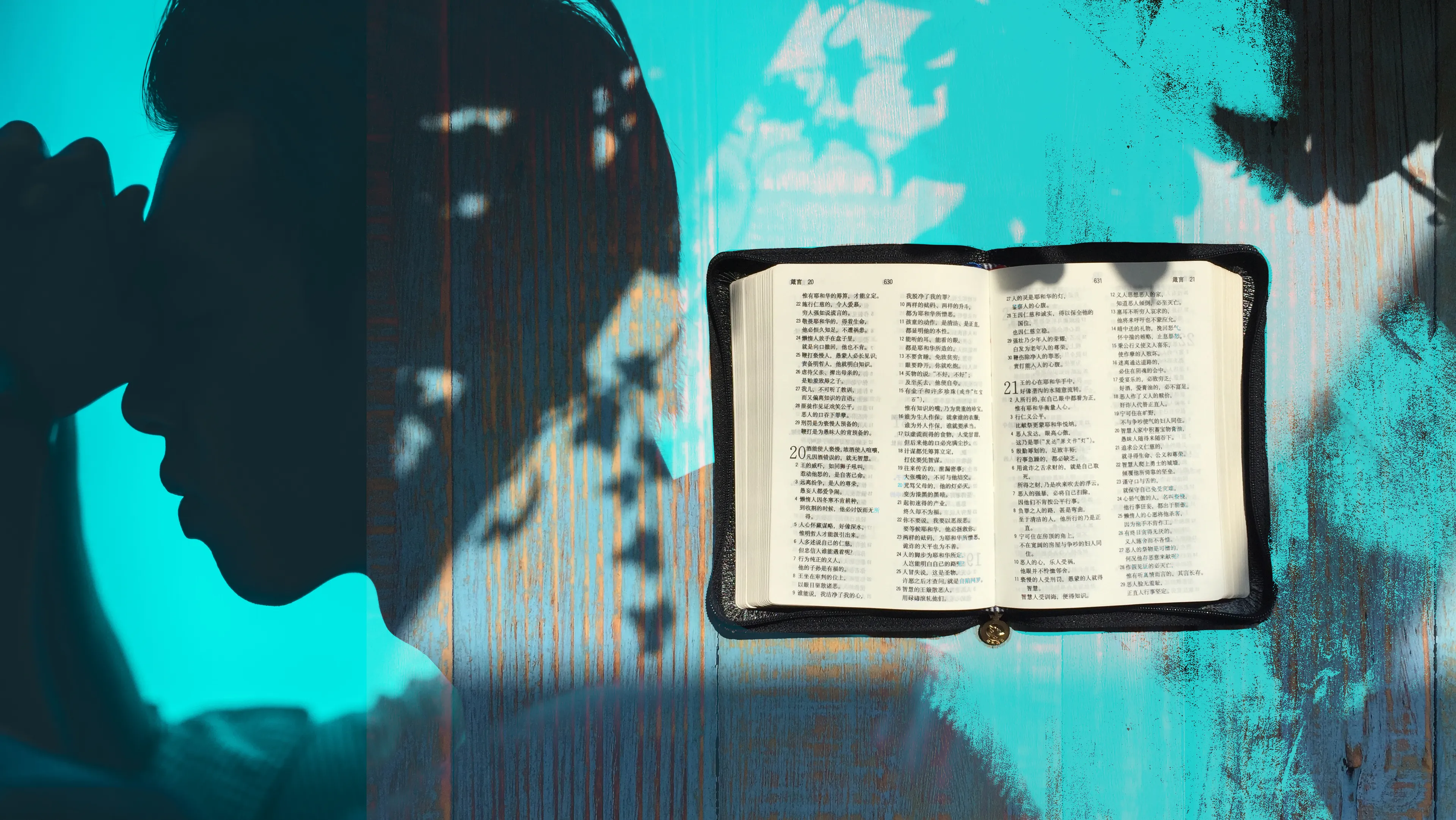 Uitgelichte afbeelding