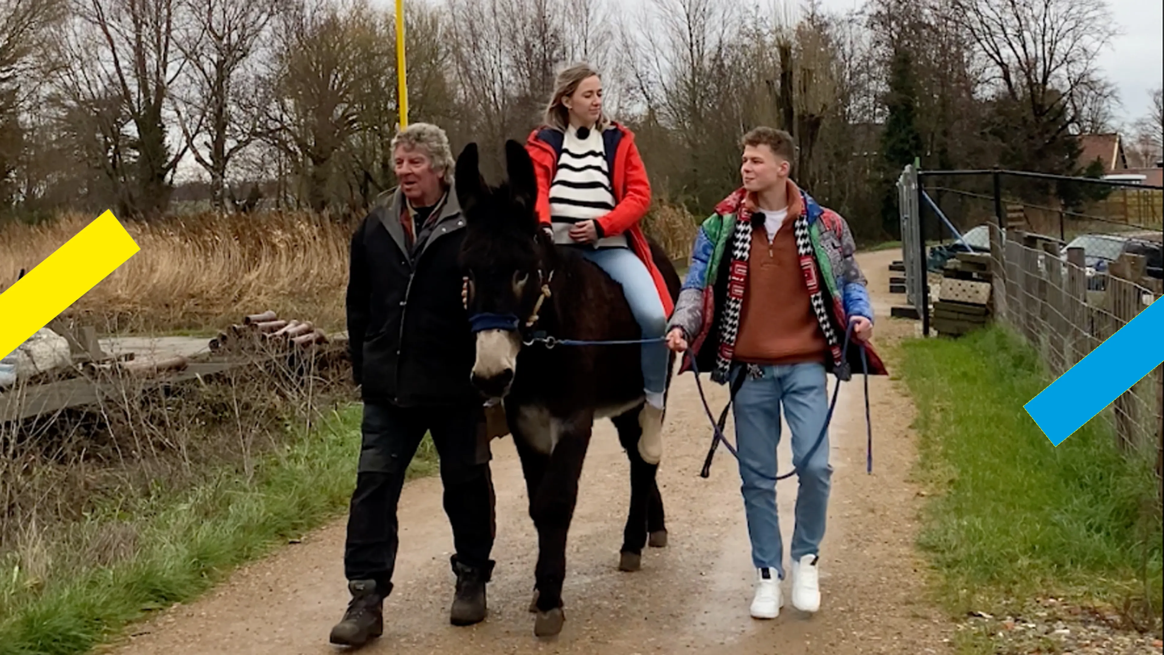 Donkey facts & fiction: the real story