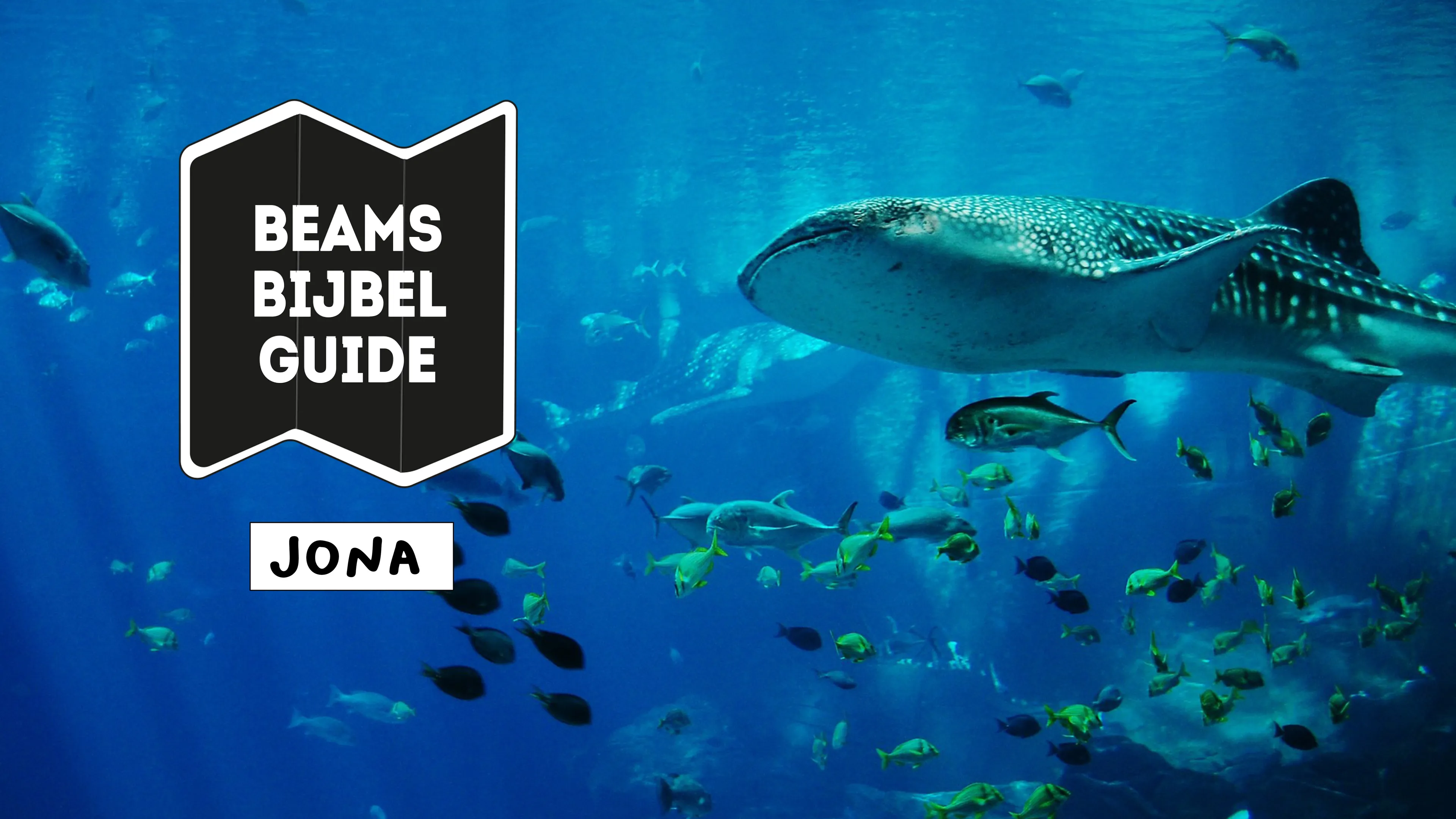 Uitgelichte afbeelding