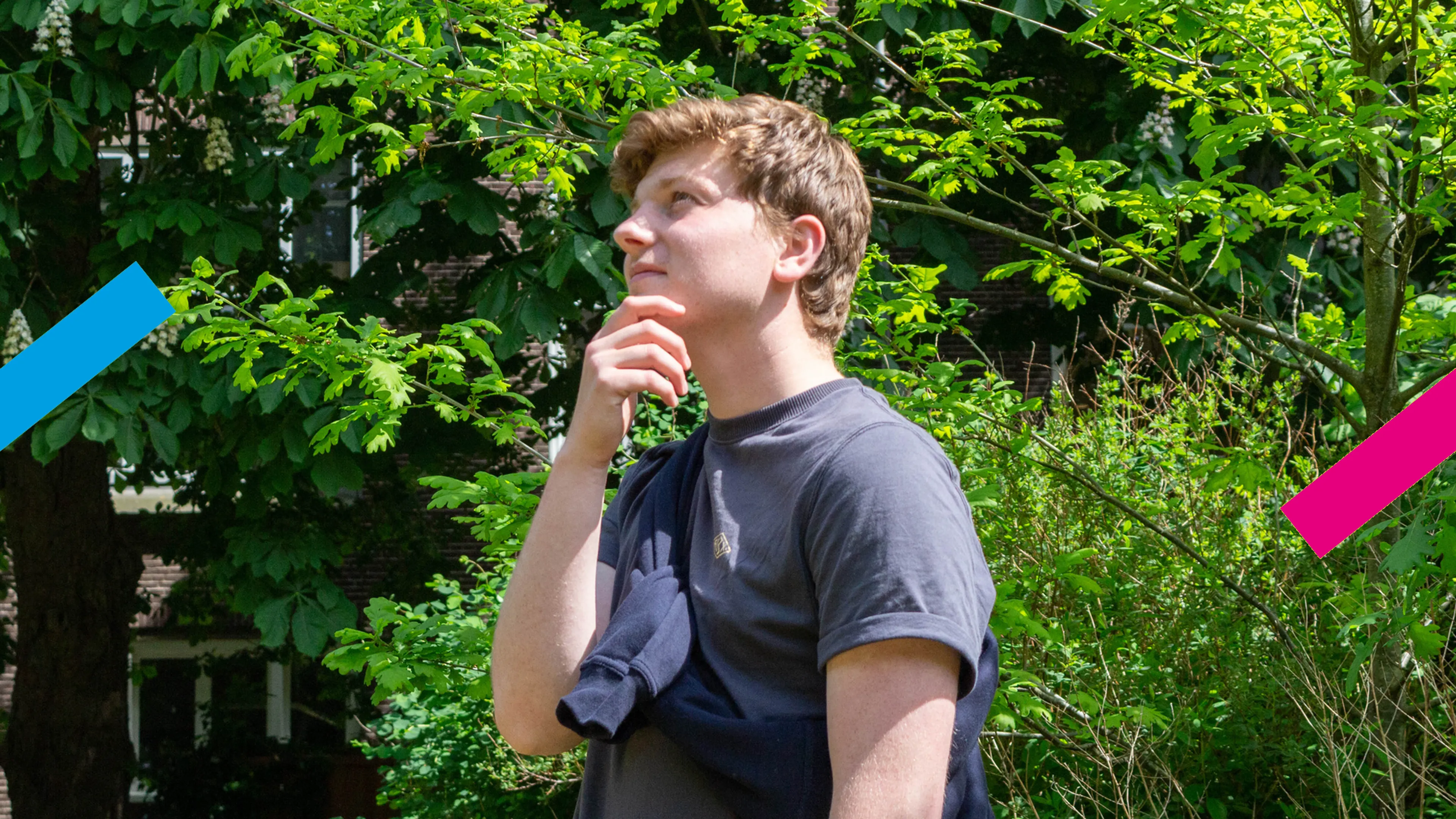 Uitgelichte afbeelding