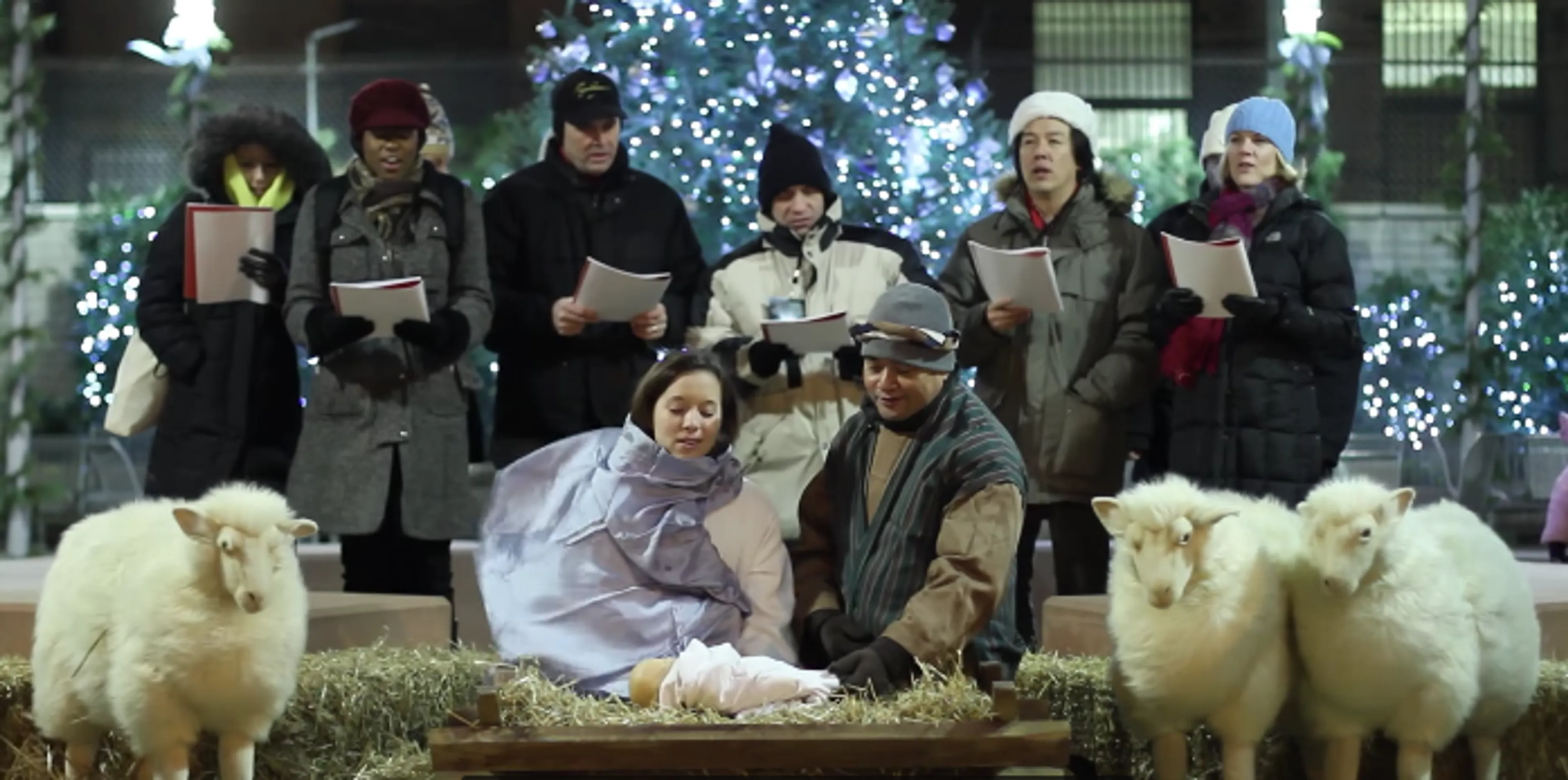 Uitgelichte afbeelding