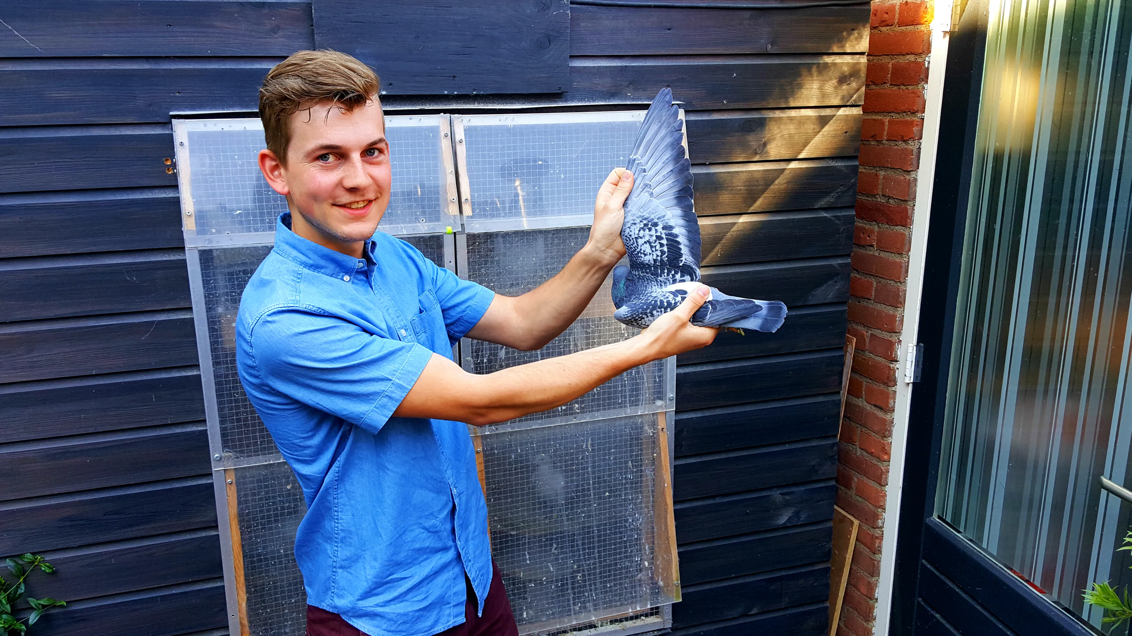 Uitgelichte afbeelding