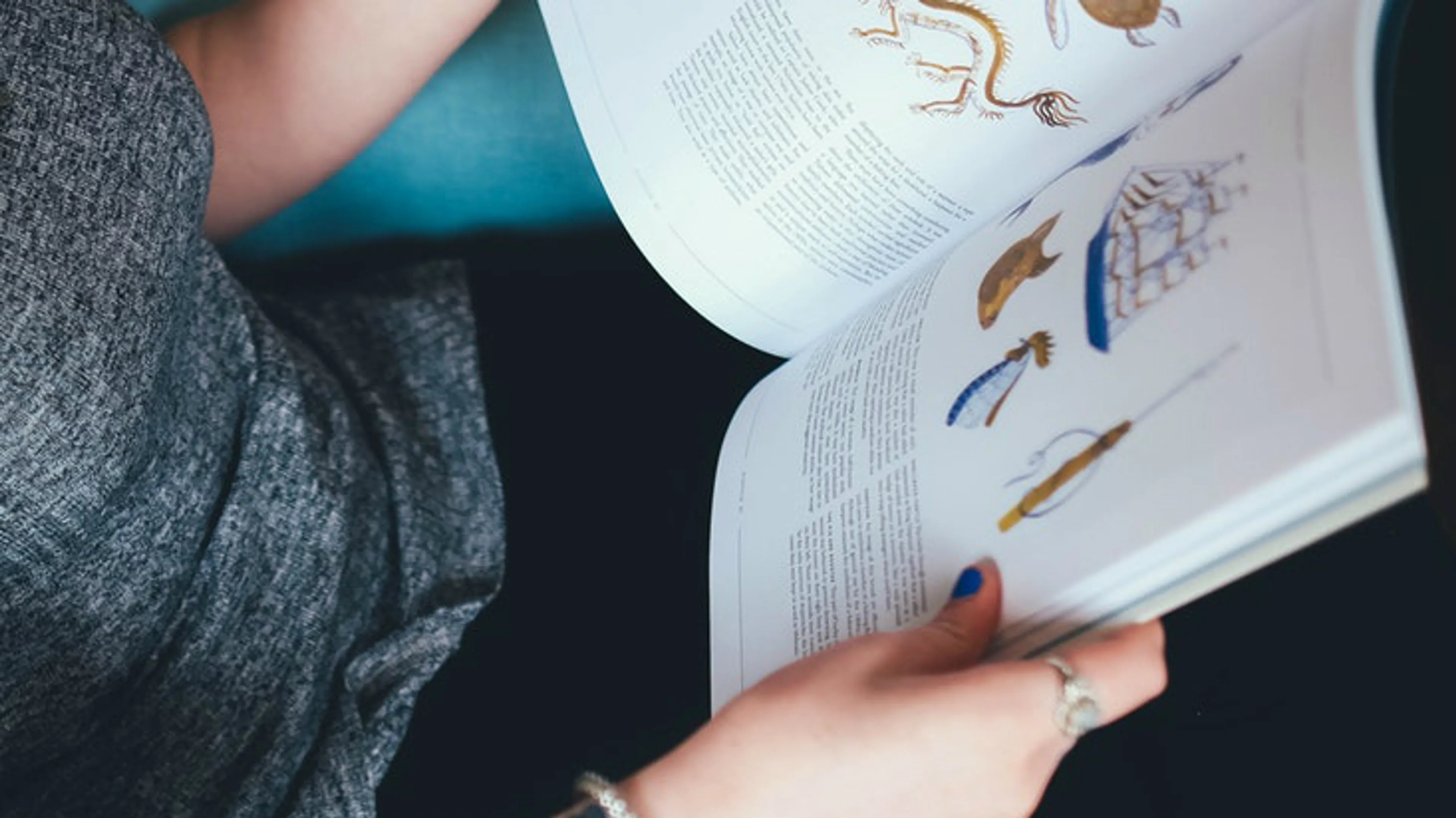 Uitgelichte afbeelding