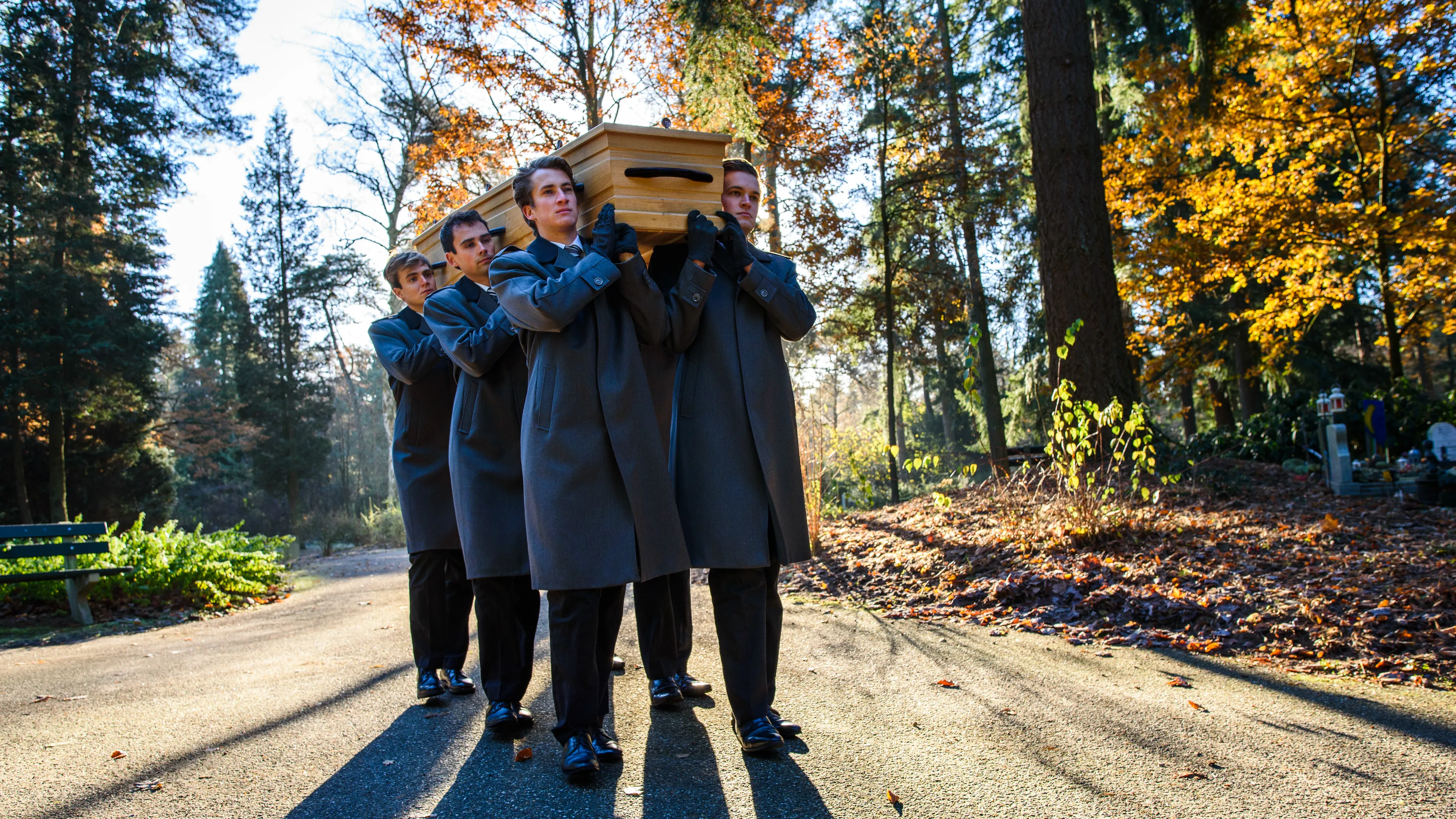 Uitgelichte afbeelding