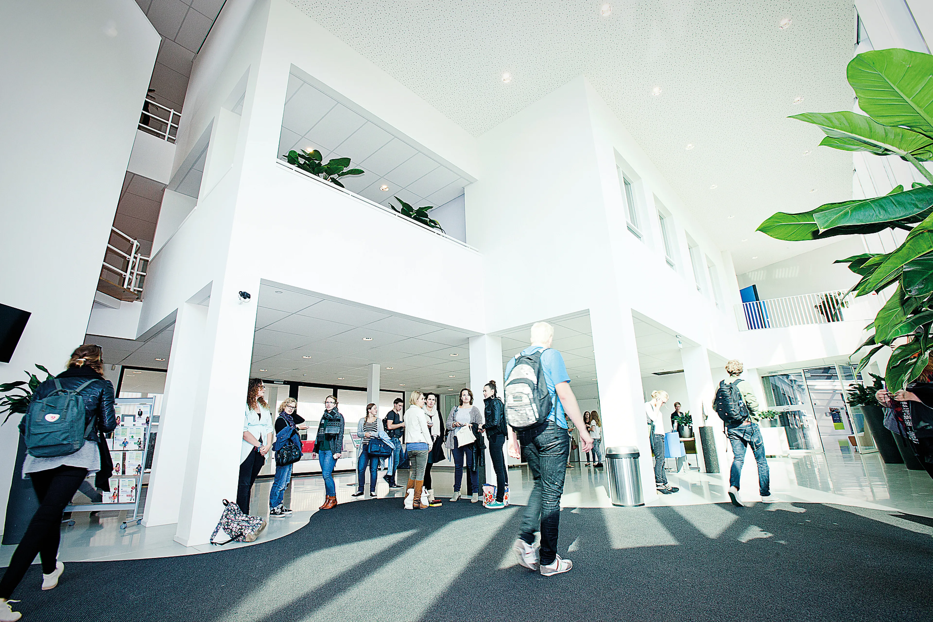 Uitgelichte afbeelding