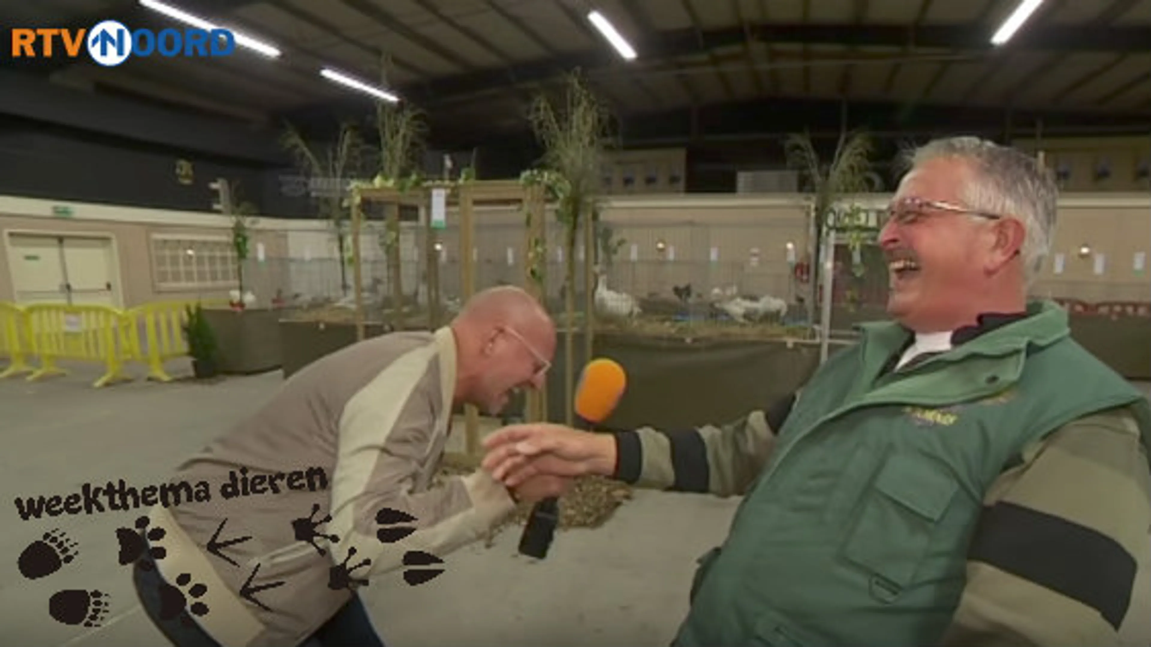 Uitgelichte afbeelding