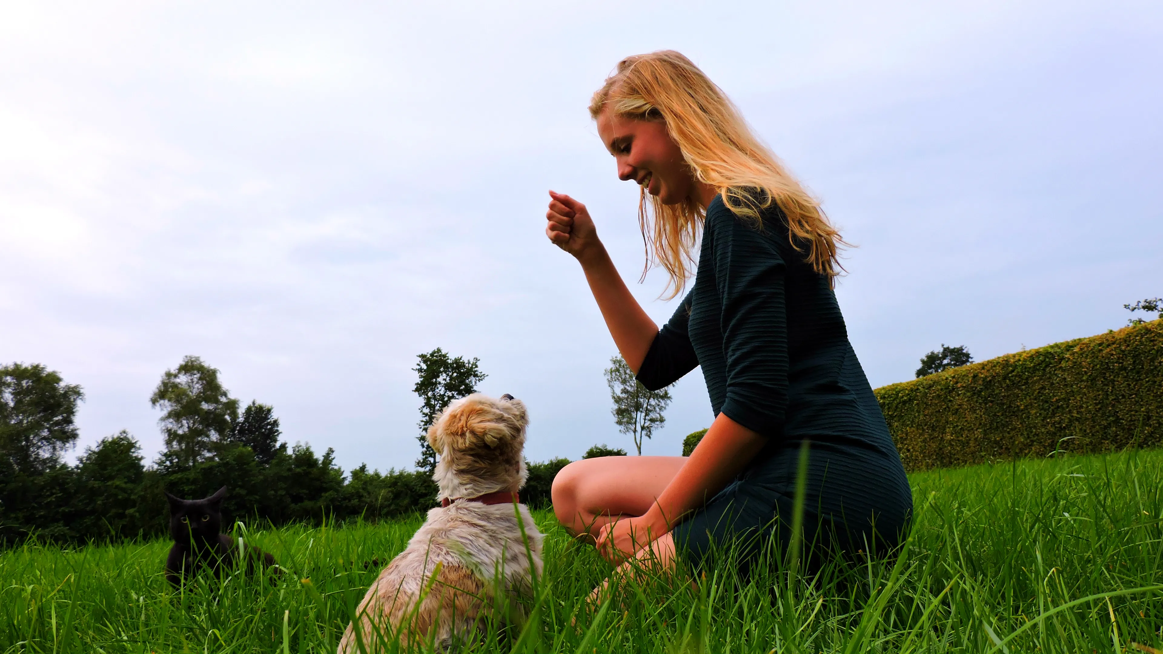 Uitgelichte afbeelding