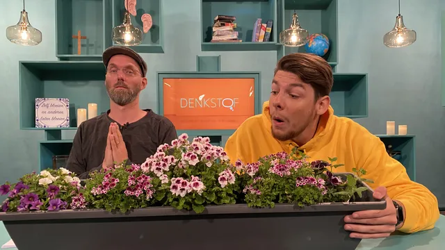 Uitgelichte afbeelding