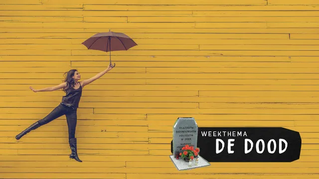 Uitgelichte afbeelding