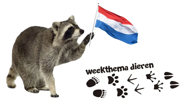 Uitgelichte afbeelding