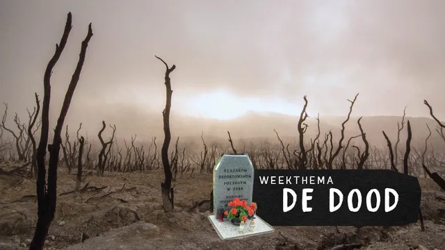 Uitgelichte afbeelding