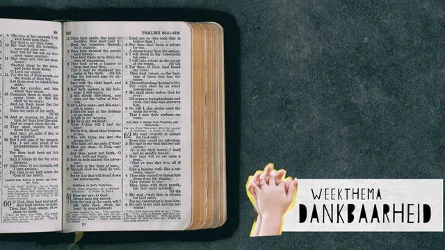 Uitgelichte afbeelding