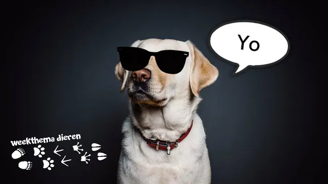 Uitgelichte afbeelding