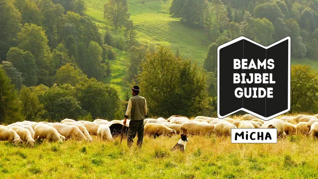 Uitgelichte afbeelding