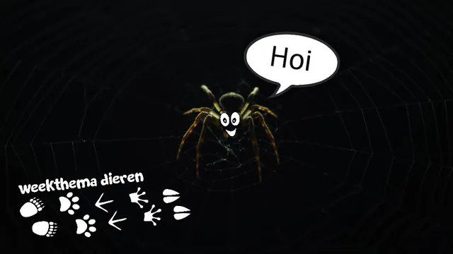 Uitgelichte afbeelding