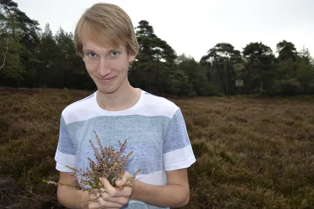 Uitgelichte afbeelding