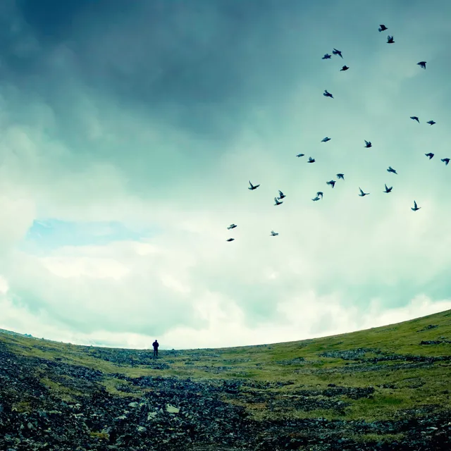 Uitgelichte afbeelding