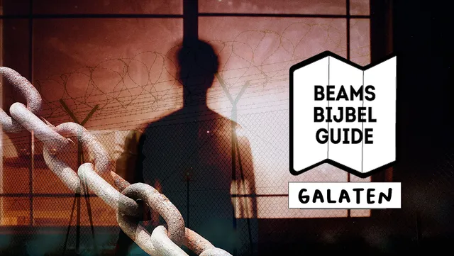 Uitgelichte afbeelding