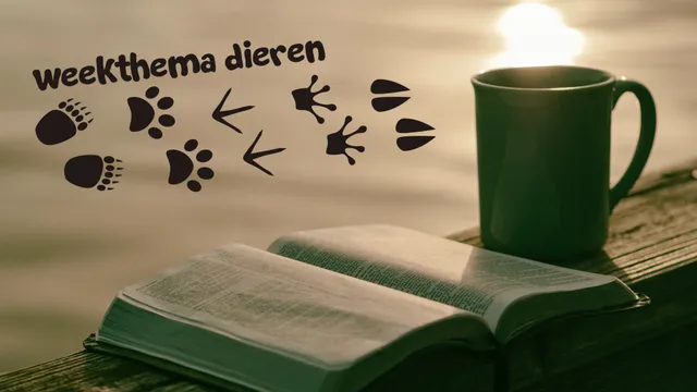 Uitgelichte afbeelding