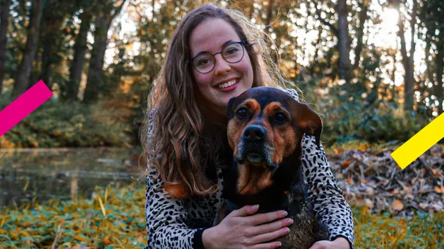 Uitgelichte afbeelding