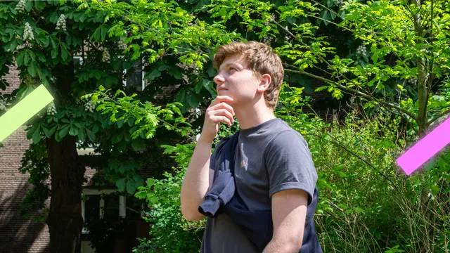 Uitgelichte afbeelding