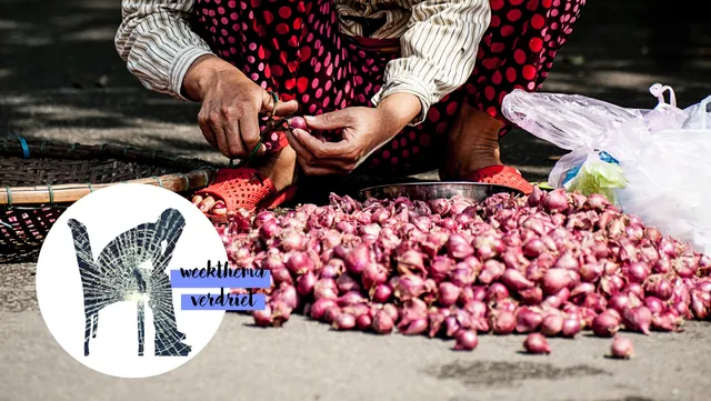 Uitgelichte afbeelding