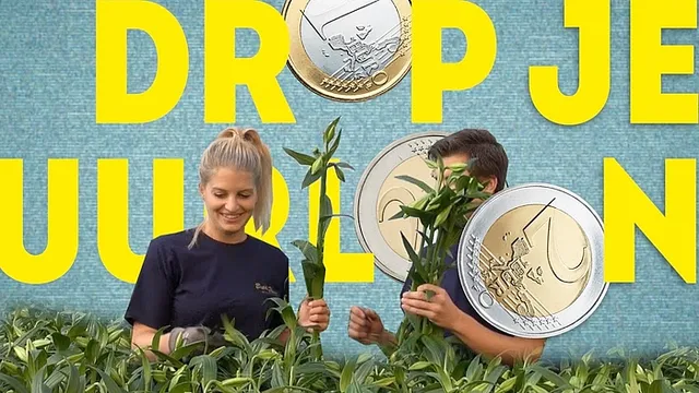 Uitgelichte afbeelding