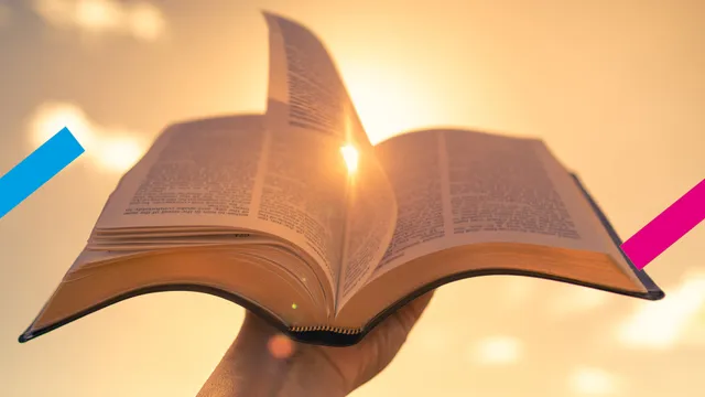 Uitgelichte afbeelding