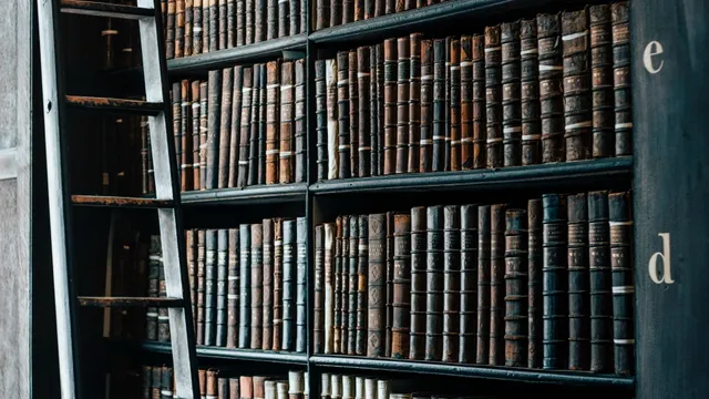 Uitgelichte afbeelding