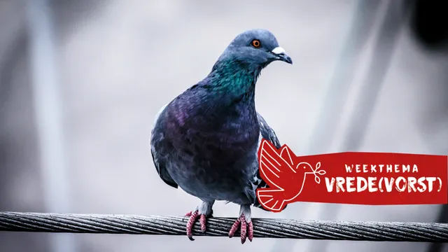 Uitgelichte afbeelding