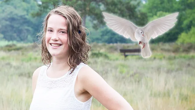 Uitgelichte afbeelding