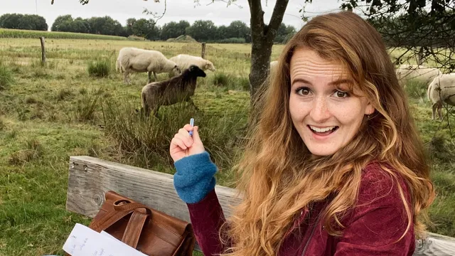 Uitgelichte afbeelding