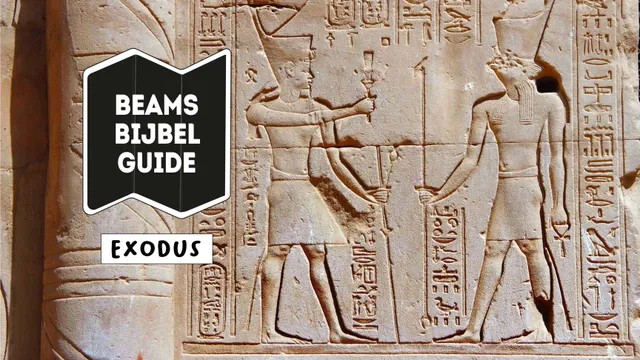 Uitgelichte afbeelding