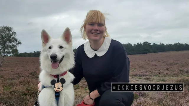 Uitgelichte afbeelding