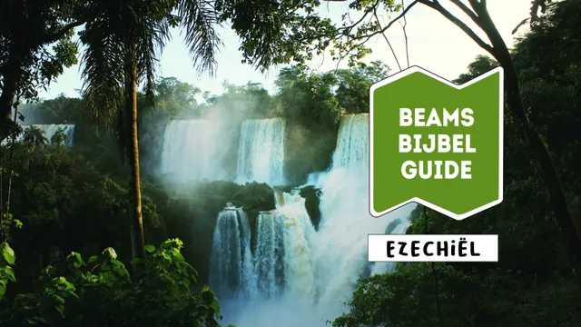 Uitgelichte afbeelding