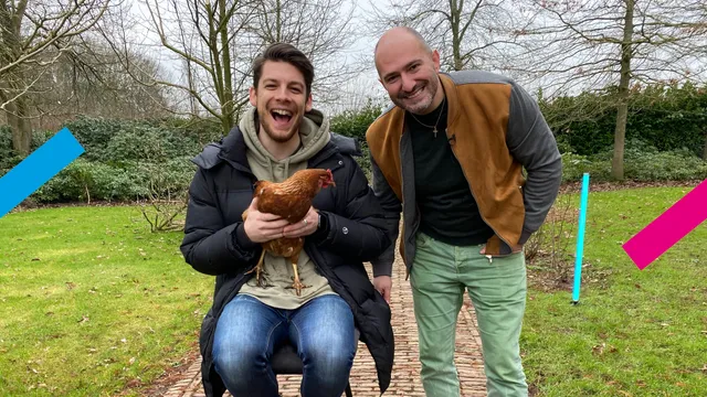 Uitgelichte afbeelding